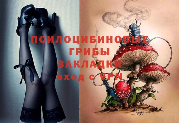 гашик Кулебаки