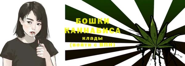 гашик Кулебаки
