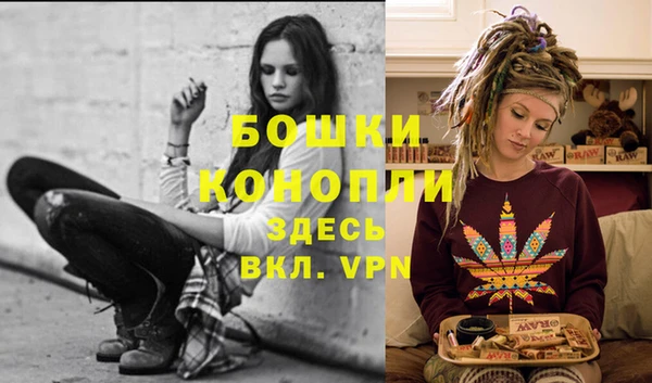 гашик Кулебаки