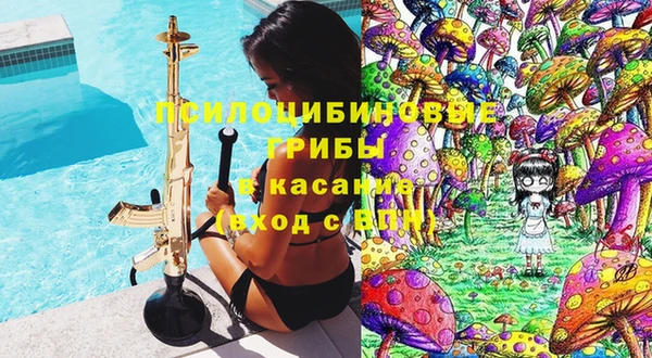 гашик Кулебаки