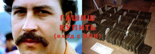 гашик Кулебаки